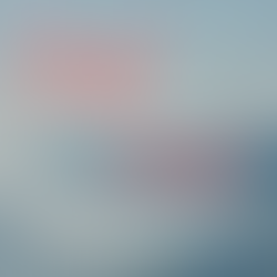 Trusting God with a New Venture