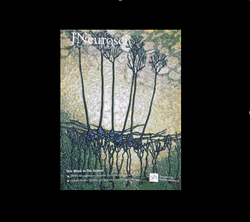 Screen Shot 2018-12-06 at 11.03.09 AM