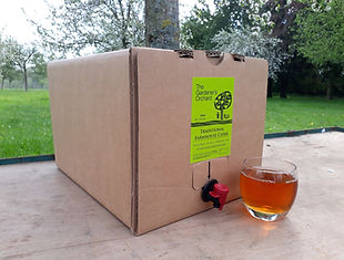 Cider 20 litres info