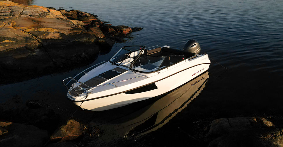 AMT 210 DC | Bjäremarin