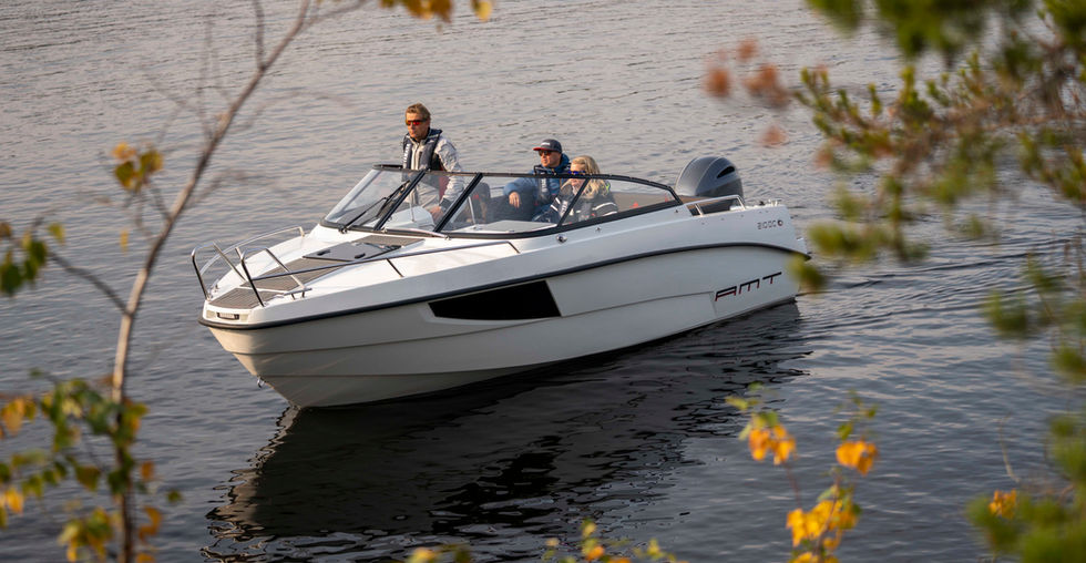 AMT 210 DC | Bjäremarin