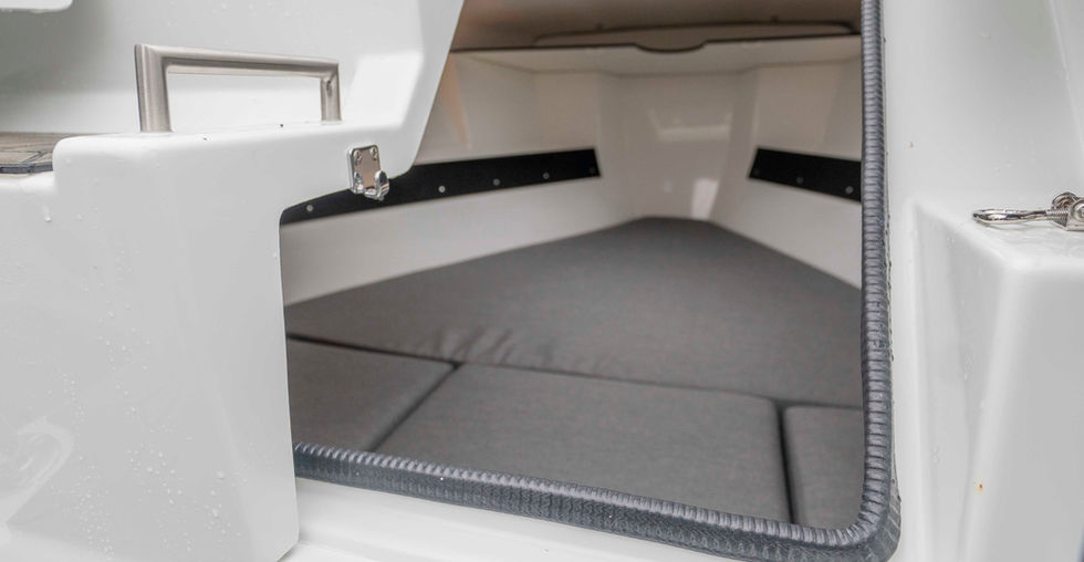 AMT 210 DC | Bjäremarin