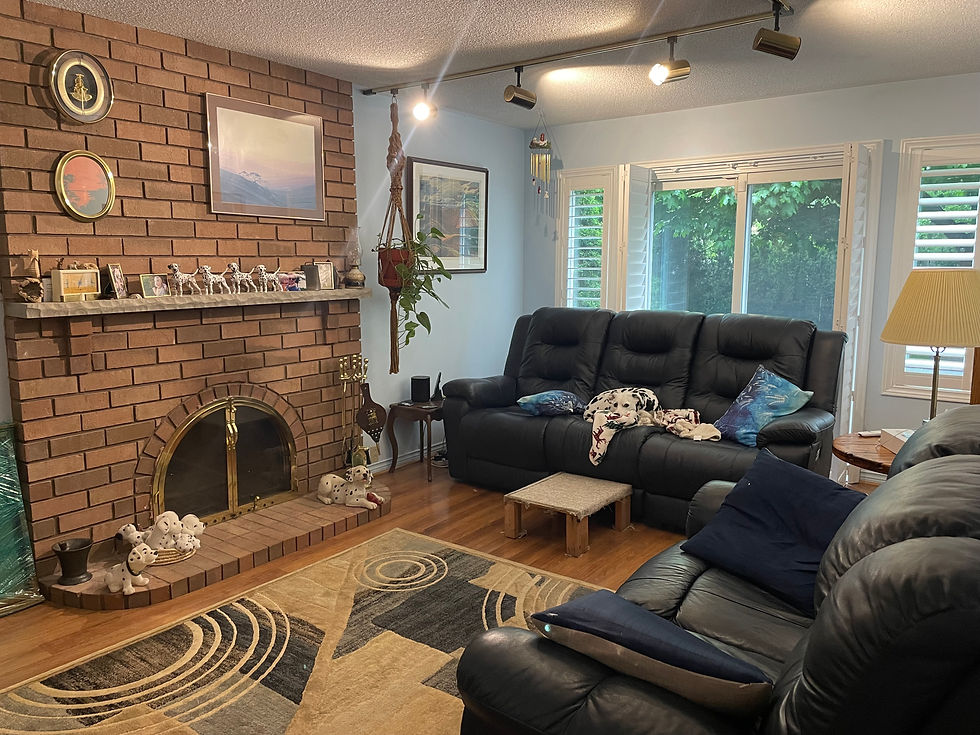 Outdated dark living room with black sofas, a cluttered mantle, and a plant hanging from the ceiling