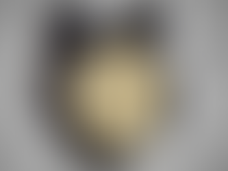 The Writings of Inertia