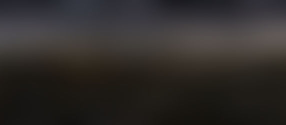 The Credo of the Wasteland II