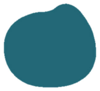 teal-shape-no-text-transparent.png