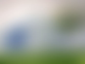 BESS Market in India vs Global