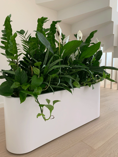 metalevi-kashpo-ovalni