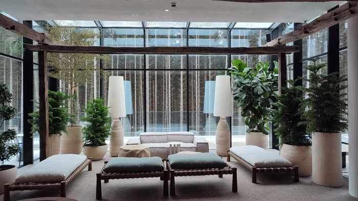 ozelenennia-iterieru-1