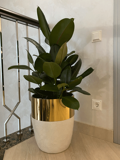 keramichni-horshchyky-4