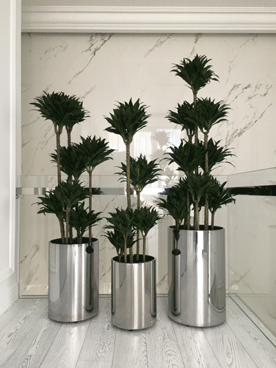 ozelenennia-budynku-3