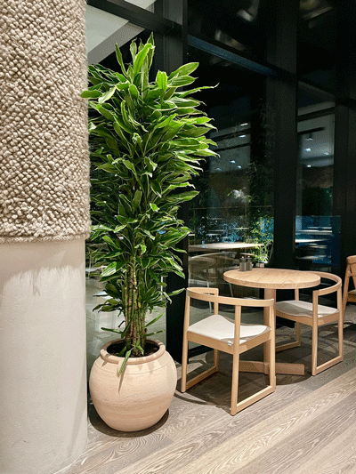 ozelenennia--restoranu