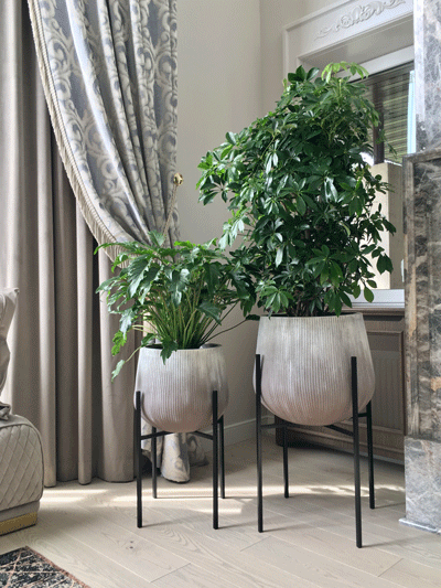 ozelenennia-budynku-5