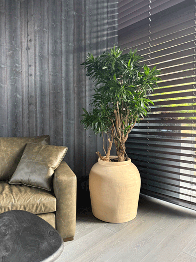 ozelenennia-restoranu-1