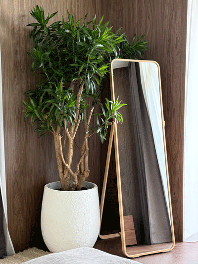 ozelenennia-budynku-1