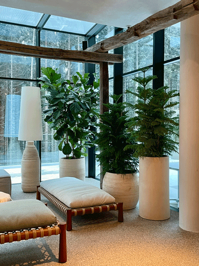 ozelenennia-iterieru-5