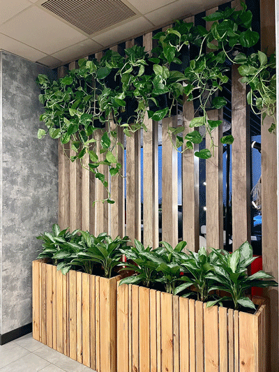 ozelenennia-restoranu