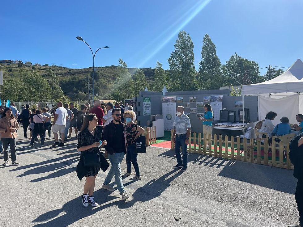 Feira S.Pedro