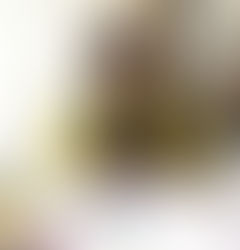 「平成30年7月豪雨」チャリティー活動についての告知