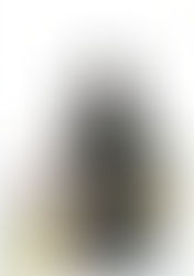 会員・木村直巳先生『監察医朝顔』ドラマ2クール放送開始