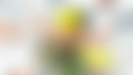 会員・Sei☆ケ〜スケ先生「原稿展&漫画作画作業パフォーマンス」開催のお知らせ