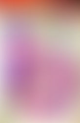 代表理事・里中満智子先生「第13回戦争の記憶と記録を語り継ぐ映画祭2024」開催のお知らせ