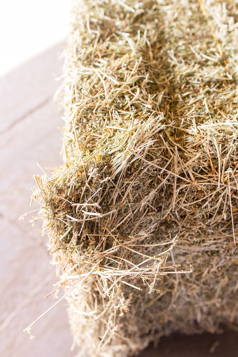 Thumbnail: Alfalfa Horse Hay (large bale)