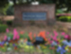 IMG_9055-cropped_edited.jpg