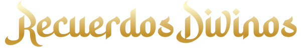 11Asset 13_4x_edited.png