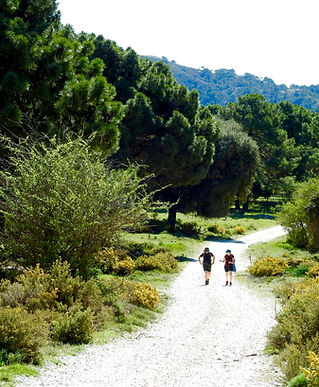 Wandelcoaching Kairos