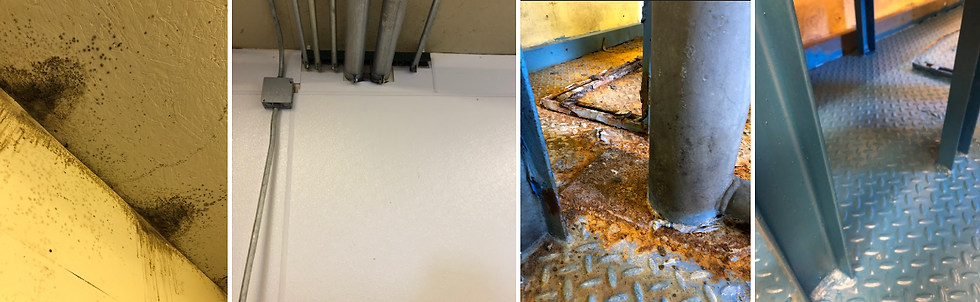 Before and After Rust and Mold 2.png