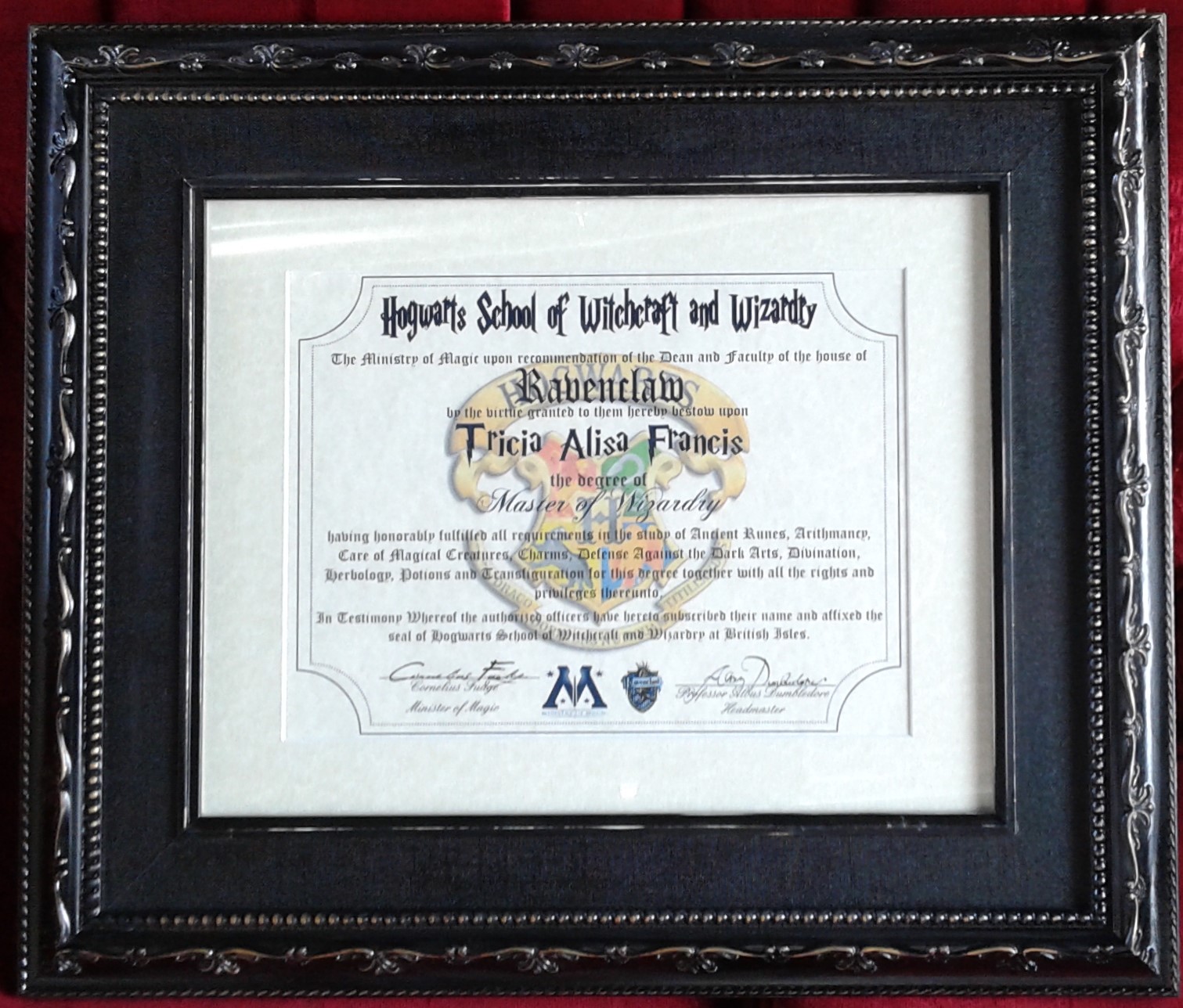 CUSTOM PICTURE FRAMES sealedarthamilton