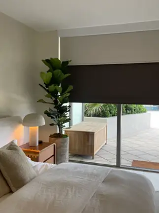 dual roller blinds