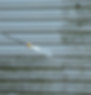 AdobeStock_449394016.jpeg