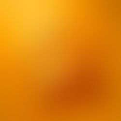 AS IS | Matthew Shlian 