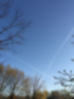 13002383_10208221660871517_2749316945352770528_o.jpg