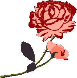 flower-3275_256.gif