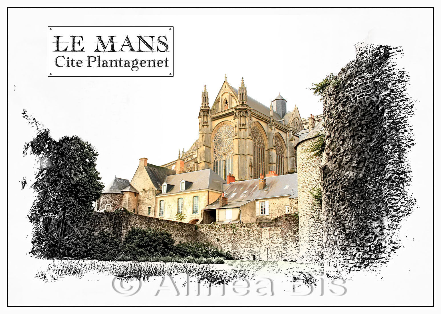 Cathédrale St Julien