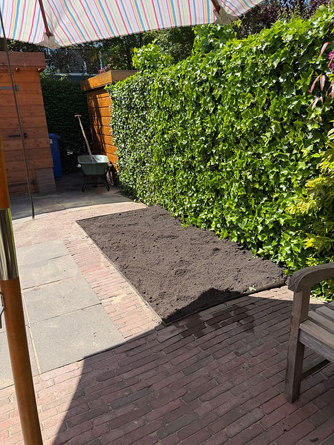 Foto border Schiebroek.jpeg