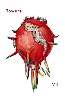 The cover of "Towers" by VII. The cover features a dragonfruit against a white background. There are rickety staircases built into the dragonfruit.