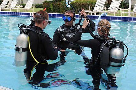 get back in the pool and get your skills up to date