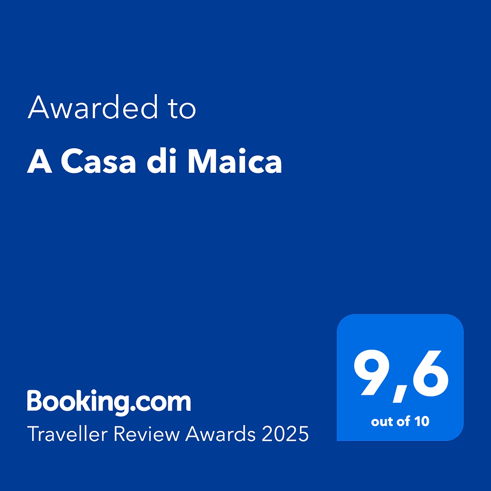 BOOKING TRAVELER REVIEW AWARD.PNG