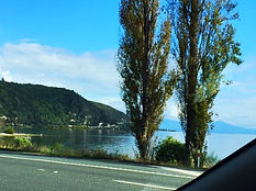Wellington