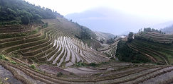 Dragon's backbone rice terraces