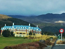 Wellington