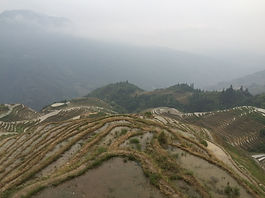 Dragon's backbone rice terraces
