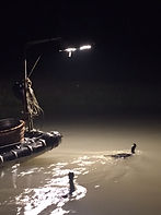 Cormorant fishing trip