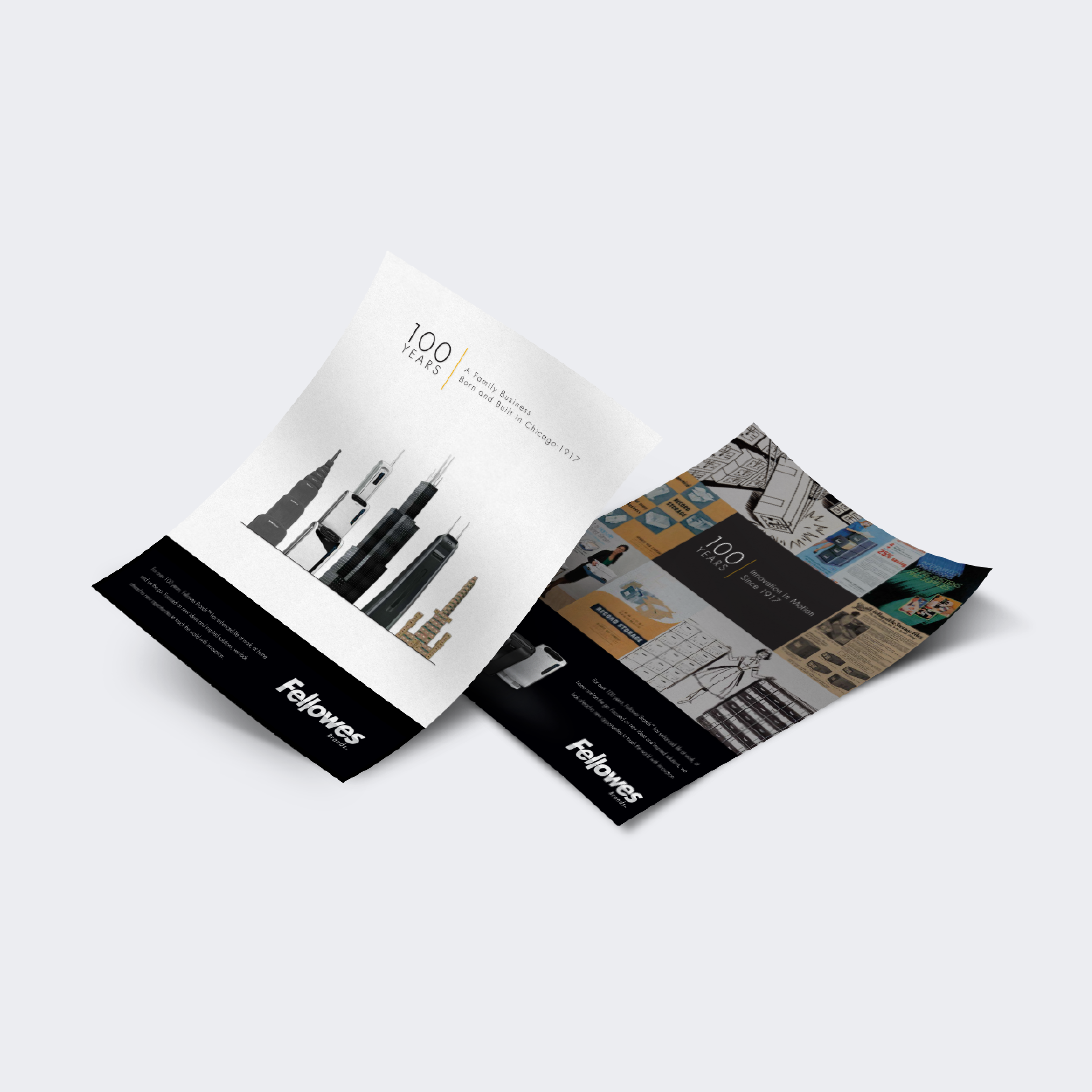 Fellowes® 100 Year Flyers