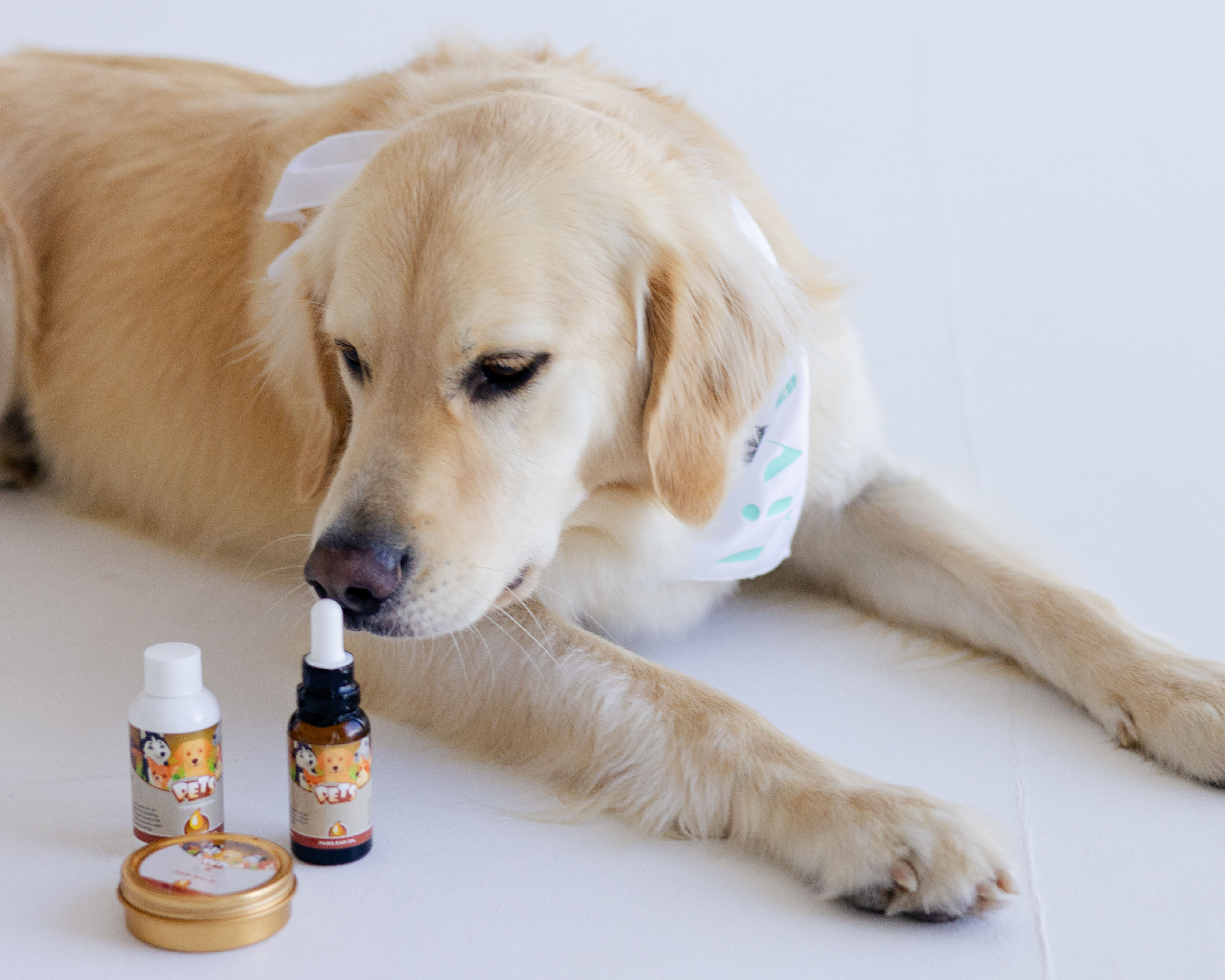 Punkin Butt PETS Ear Oil