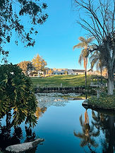 pond_earlyspring3_116.jpg